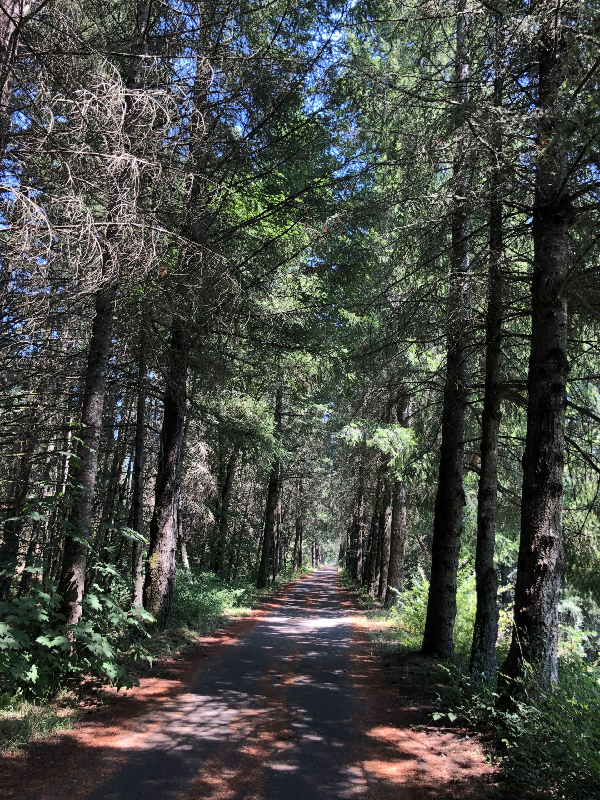 Chehalis, Washington Acey’s Adventures