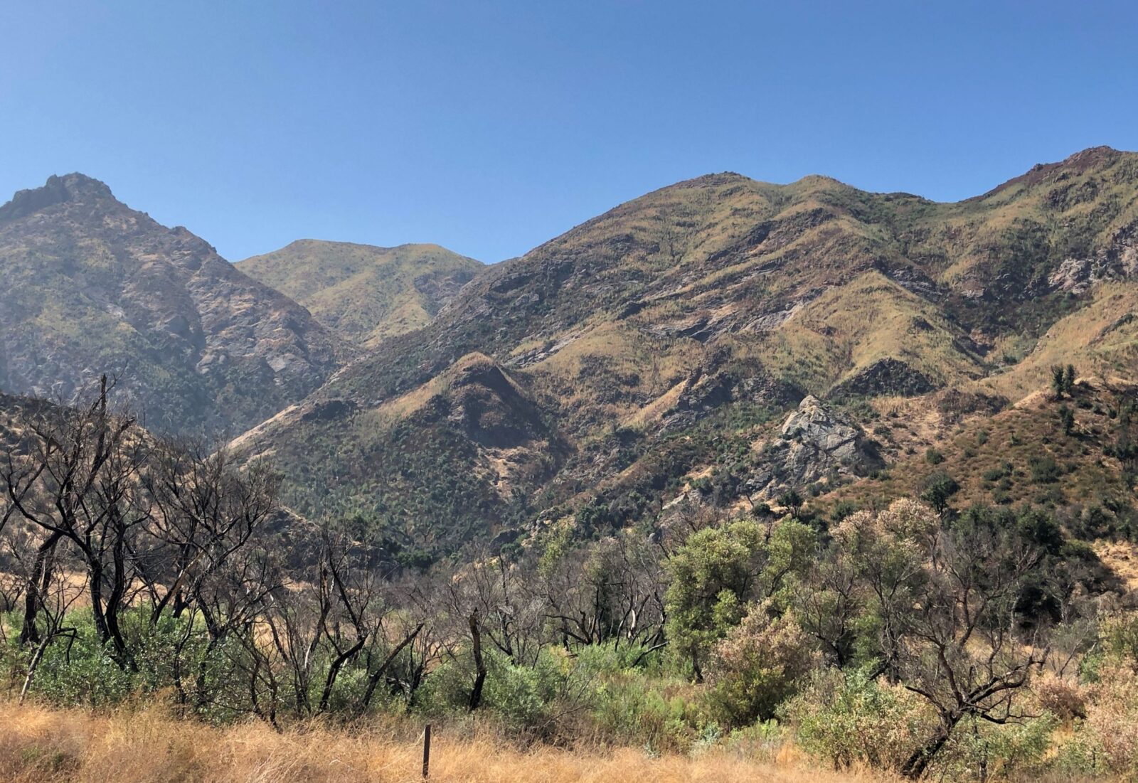 Thousand Trails Soledad Canyon Acton, CA Acey’s Adventures