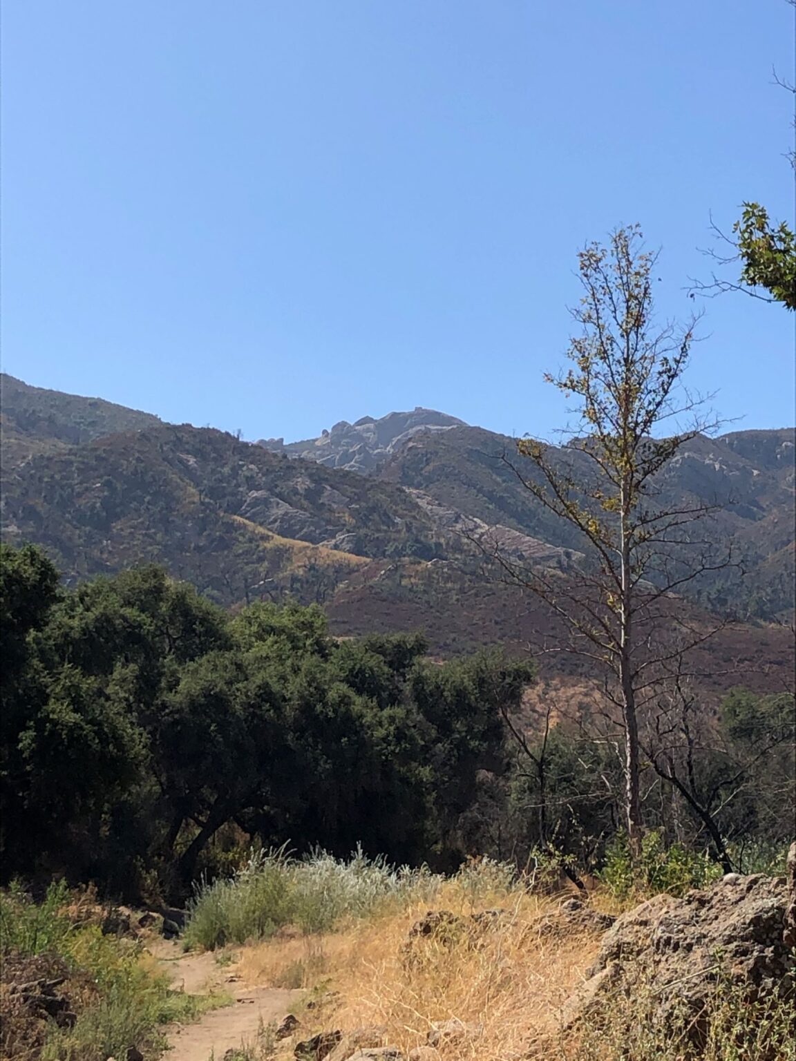 Thousand Trails Soledad Canyon Acton, CA Acey’s Adventures