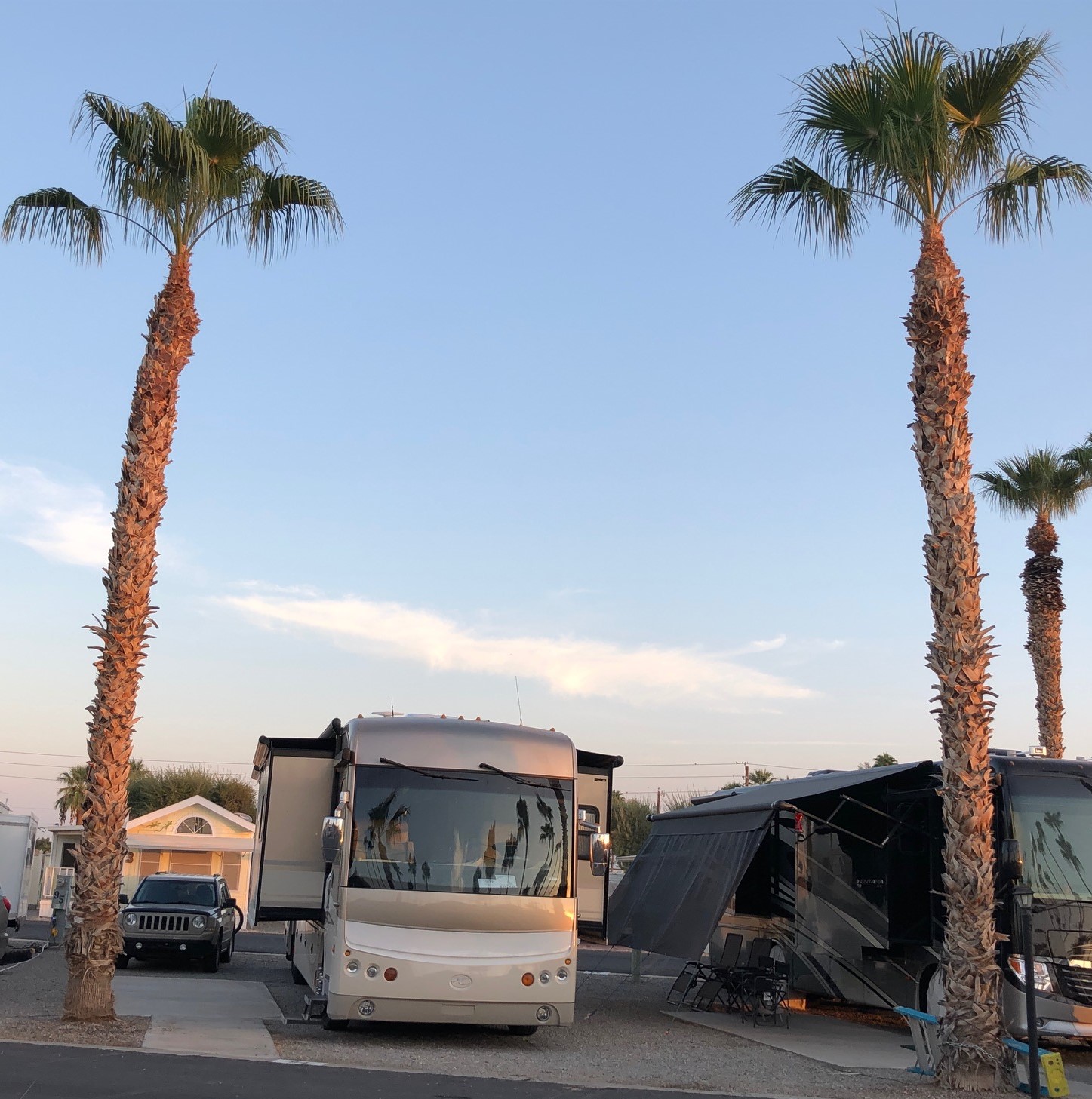 Araby Acres Yuma, AZ Acey’s Adventures