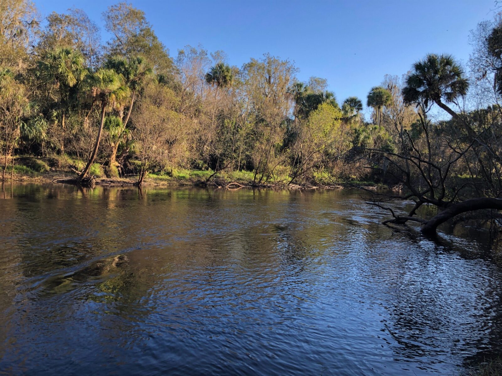 Thousand Trails Peace River Campground – Wauchula, FL – Acey’s Adventures