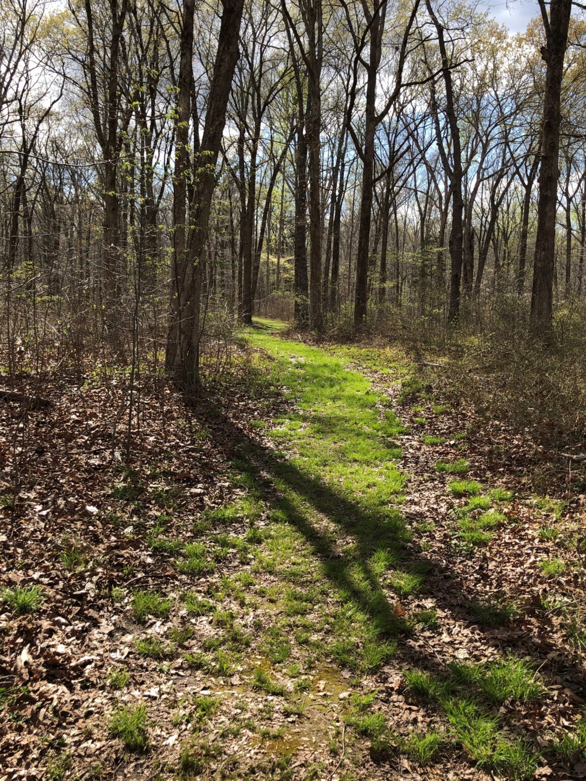 Hohenwald, TN no not holeinthe wall! Acey’s Adventures