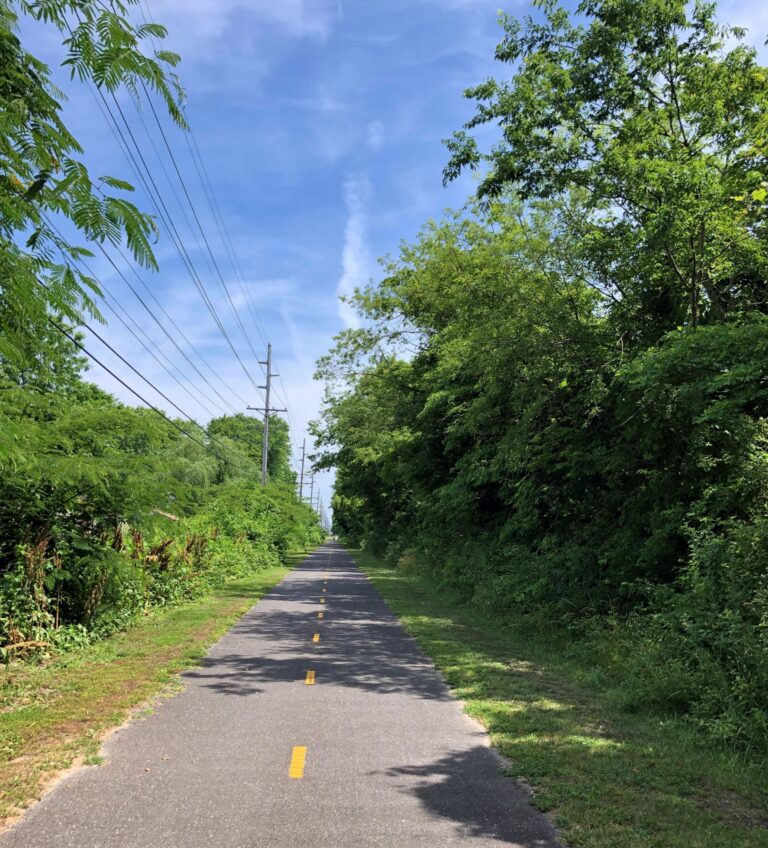 Mays Landing, New Jersey Acey’s Adventures