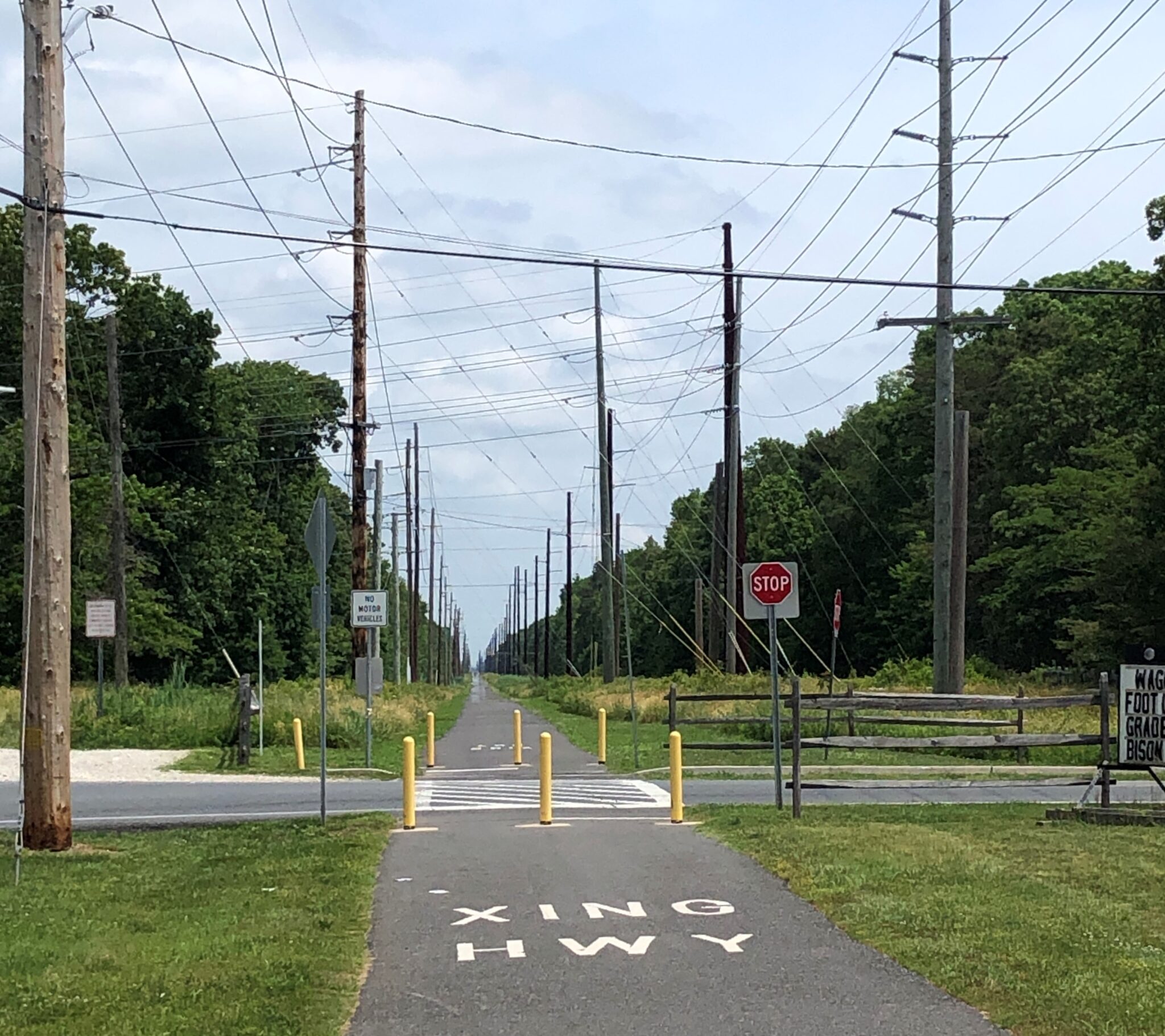 Mays Landing, New Jersey Acey’s Adventures